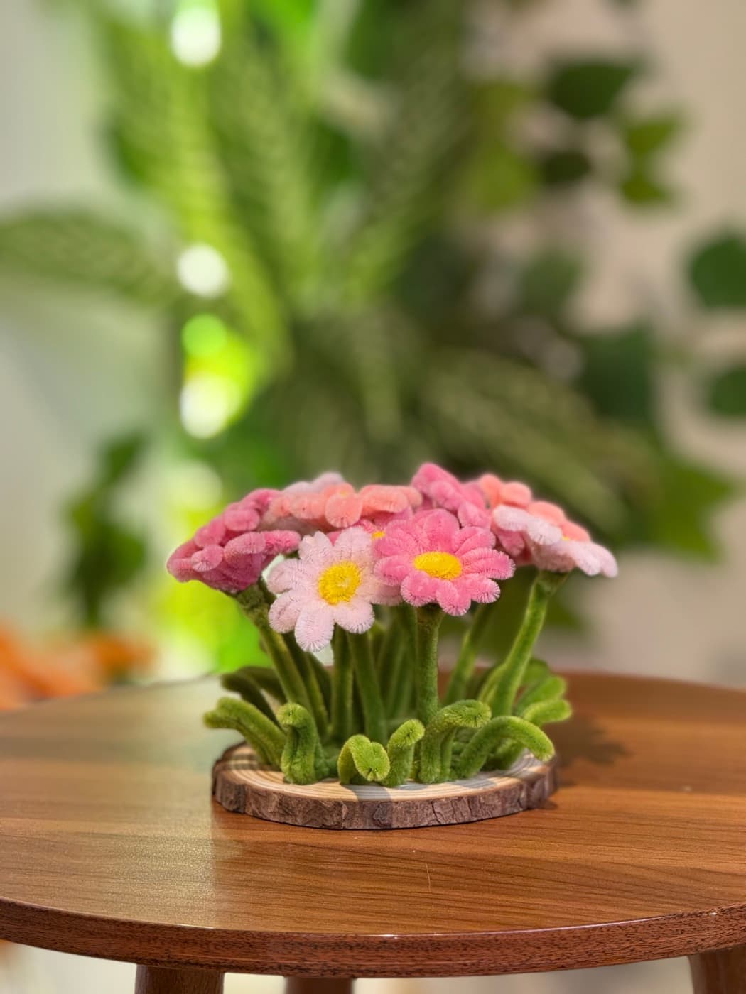 Little garden ağ çəhrayı şönildən