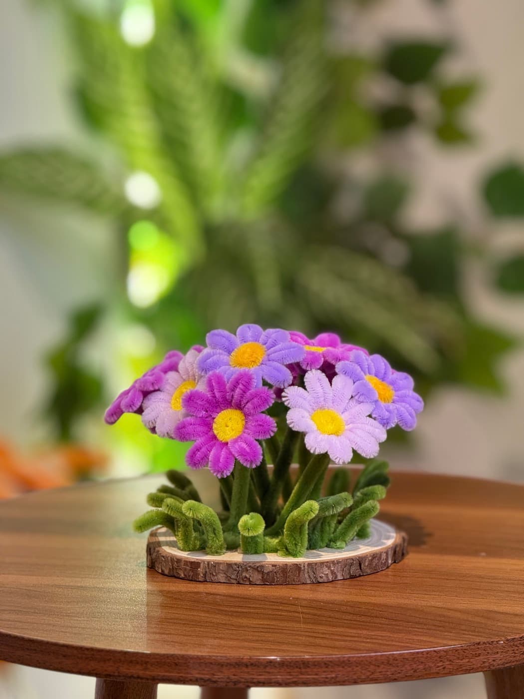 Little garden bənövşəyi şönildən